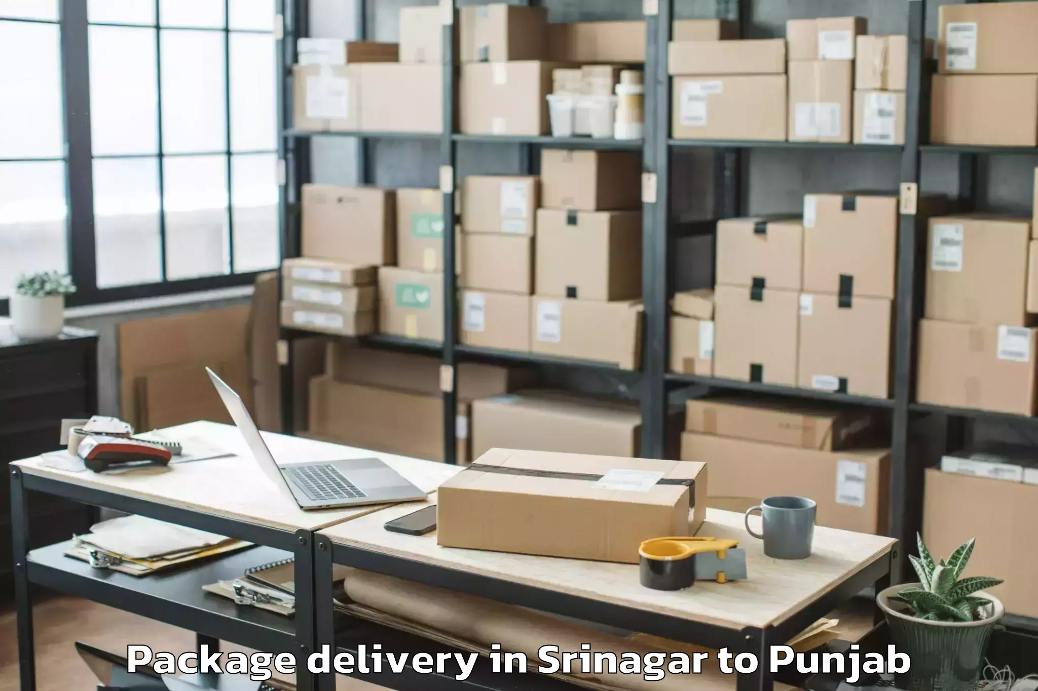 Professional Srinagar to Vr Ambarsar Mall Package Delivery